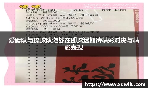 爱媛队与琉球队激战在即球迷期待精彩对决与精彩表现